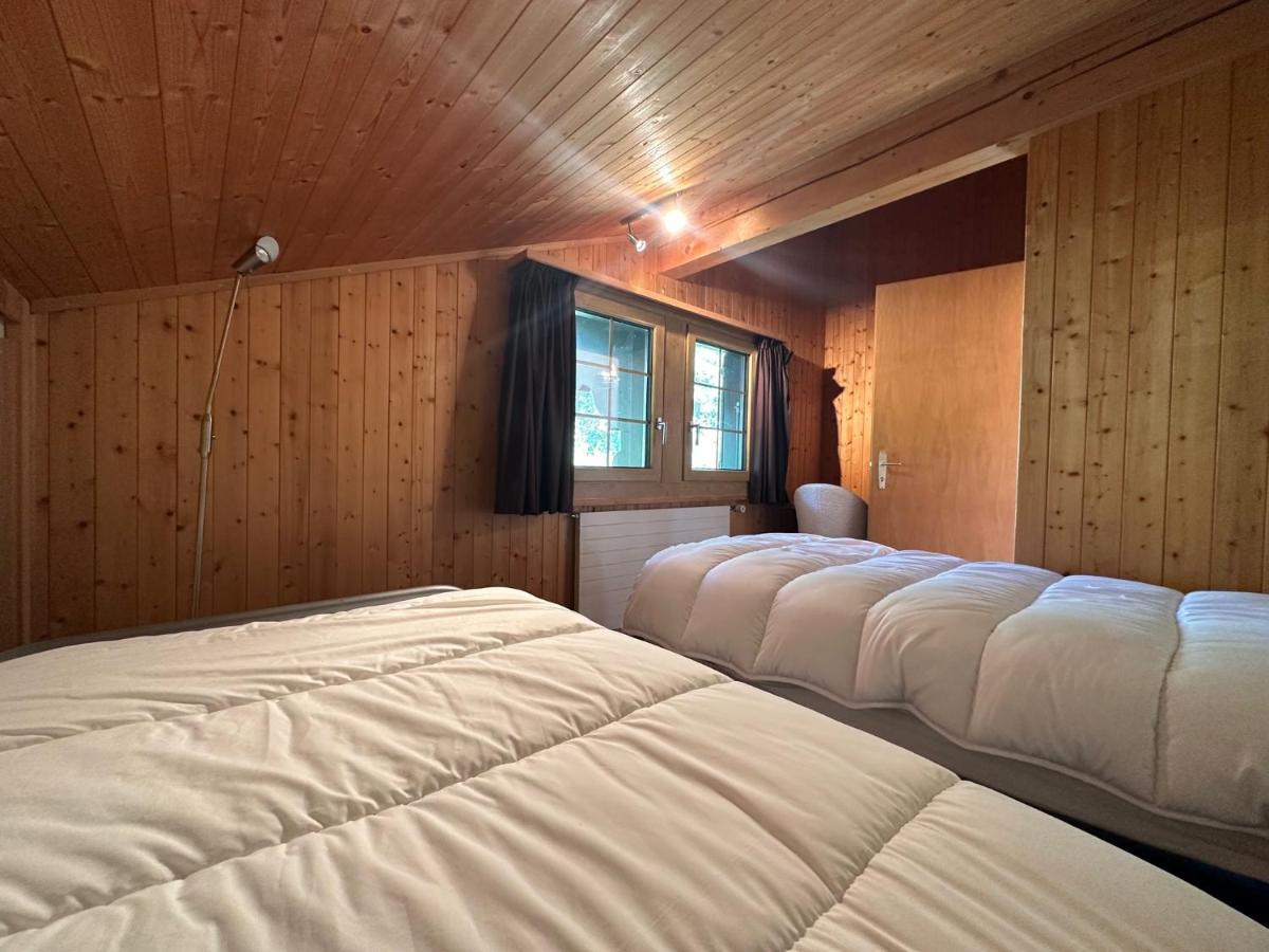 Chalet Rose Bay Villa Leysin Luaran gambar